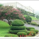 화순북면중학교 이미지