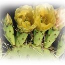 건강과 행복 이미지