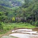 신원면 과정리 이미지