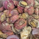 안골로31 이미지