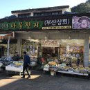 산아래나물천지