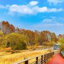 만추여정풍경 ! 이미지