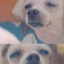 임실치즈두마리목장 이미지