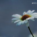 효자실버요양원 이미지