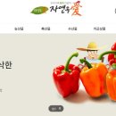 팜 이미지
