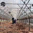 해찬농장 이미지