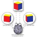 행복한안경원 이미지