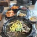 안성 원곡 맛집 장인가 갈비탕 내돈내산 후기