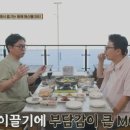 도미전파사 | 미식전파사 속초 장군횟집 모듬회 대게 코스 복어회 바다뷰 횟집 완전 정복 (8월 12일 방송)