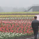 이수민농장 이미지