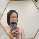 큐티도도 아카데미