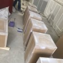 록시드갸토 이미지