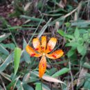 임걸령옹달샘 이미지