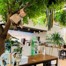 퀘렌시아 애견 이미지