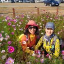 용해동주민센터 이미지