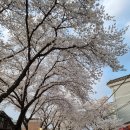 물태리 다목적회관 이미지