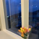 예노카페 이미지