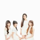 화이트엠씨