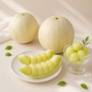 멜론 - 거제시 아주1로 34 | 멜론