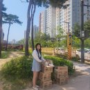 반도유보라 10차 입구 이미지