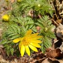 금리마을펜션 이미지