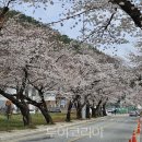 유서1리마을회관 이미지