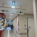 이병관 | [임신 4주차] 임신확인 전 술, 과음, 남편 임밍아웃 후기 + 임테기 역전 뜻