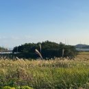 소악도민박