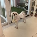 장수서창동-14 이미지