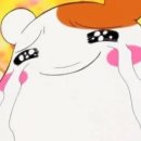 동해시-56 이미지