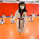 정도 K타이거즈 태권도 이미지