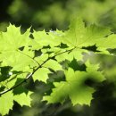 바람아래 이미지