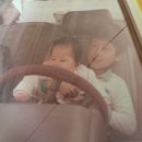 기아대교 이미지