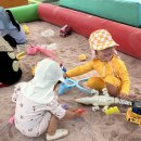 순이농장 | 서울 근교 취사가능 야외수영장, 시흥 팜팜랜드 오픈런 내돈내산 후기❤️