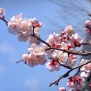 원동마을길 이미지