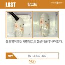 네일이보영