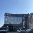 머드농수산체험마을 | 갯벌체험 가능한 영흥도 오션뷰 카페 추천 머드 포레스트