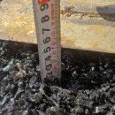 대궁어린이집 이미지