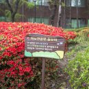 화수1동경로당 이미지