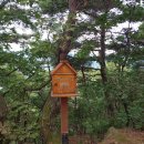 원주굽이길 1코스 배부른산길 이미지