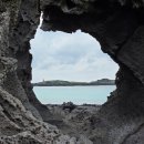 위 더 피플 행정사 | 제주도 북쪽 코스❤️닭머르, 피플카페, 창꼼바위, 오저여 일몰 명소