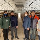 김형표농장 이미지