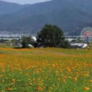 곡성묘천 이미지