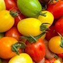 두봉농장 이미지