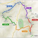 종주식품 Daum카페