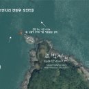 대섬농장 티스토리