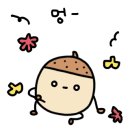 APEX(에이펙스) 이미지