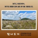 탐나도가