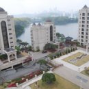 블루아라 이미지