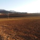 훈이네목장 이미지